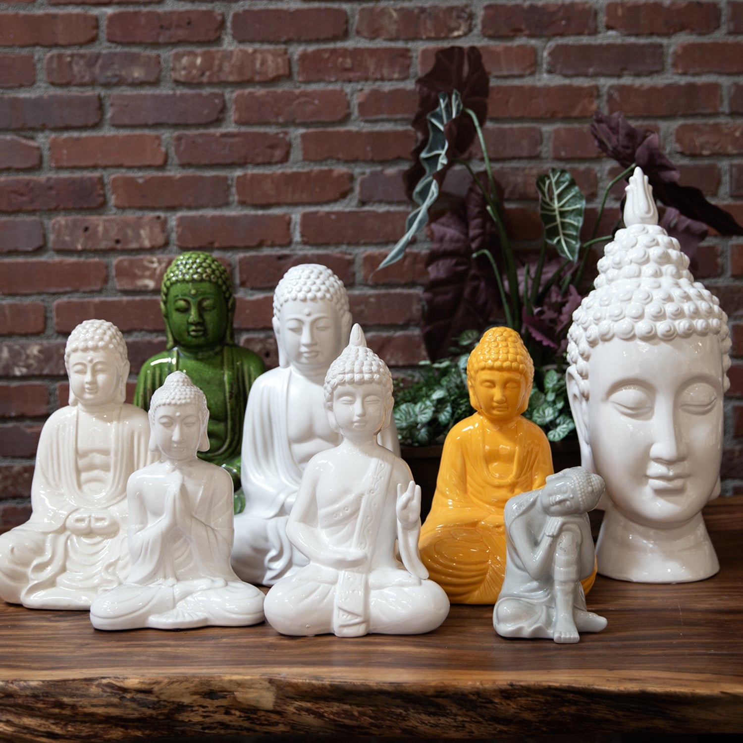 Buddhas – Urban Trends Collection