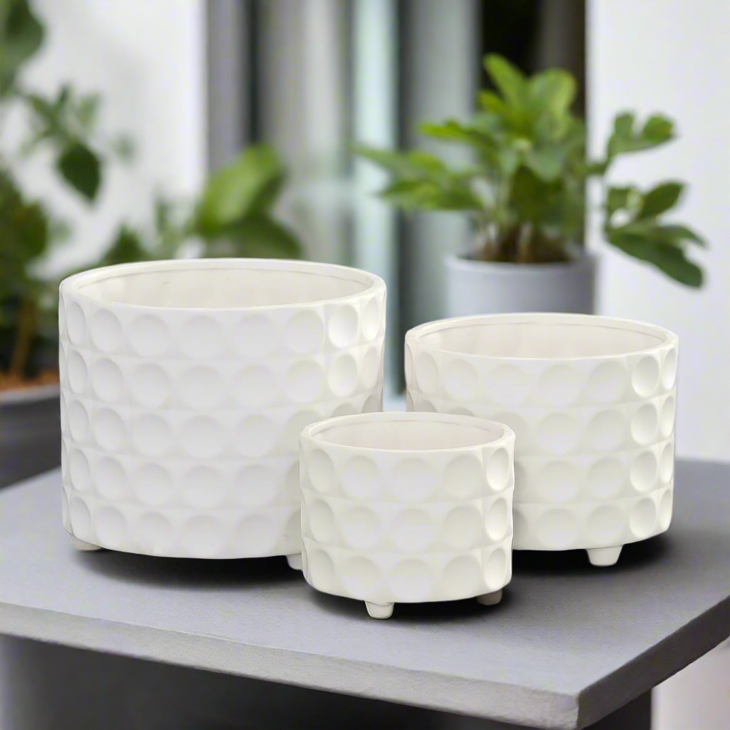 Caelum Ceramic Planter Set (Set of 3)