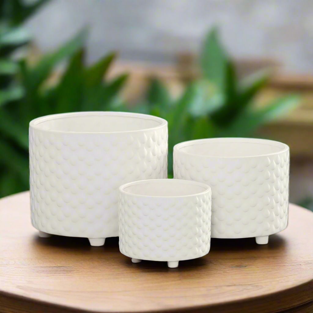 Caelum Ceramic Planter Set (Set of 3)