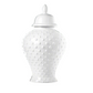 Wendin Gloss White Dotted Temple Jars