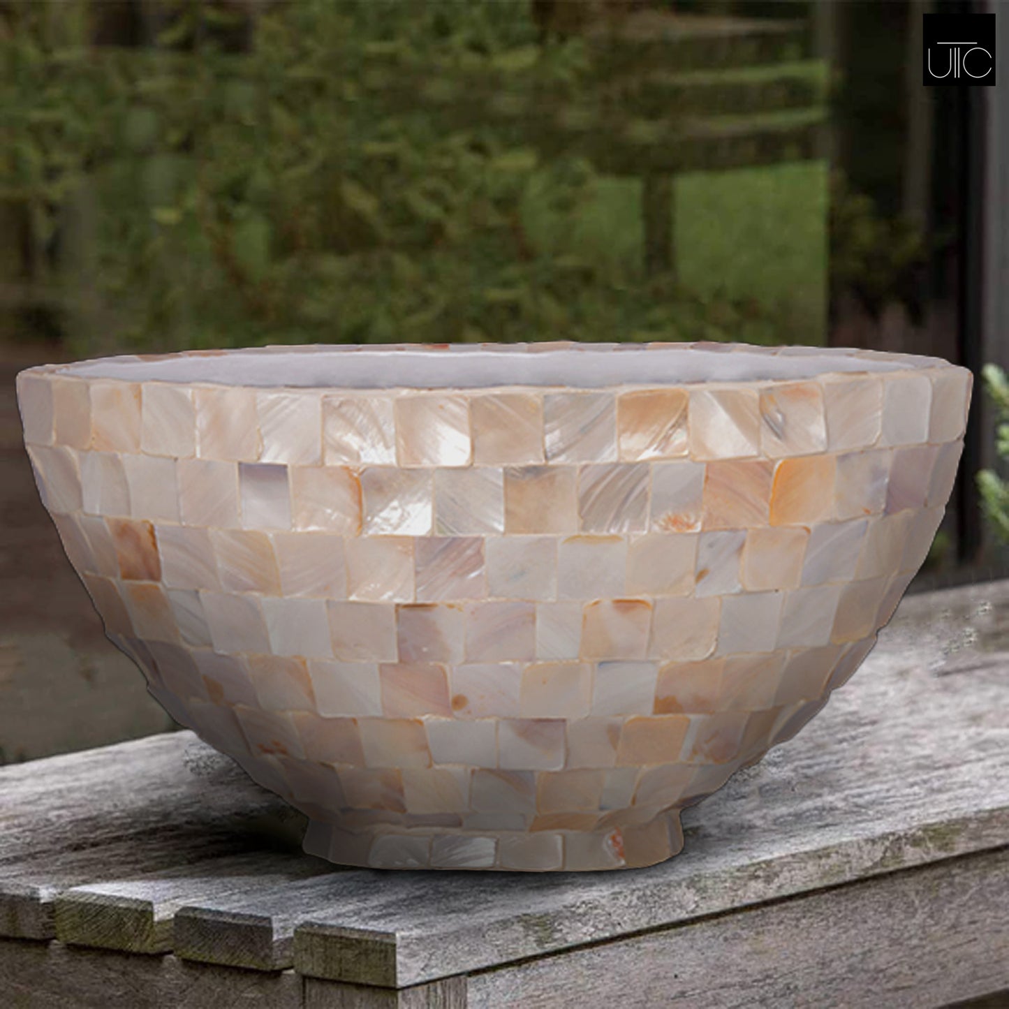 Capri Shell Planter Boat Shape Planter with Base Finish Cream-13.00"H