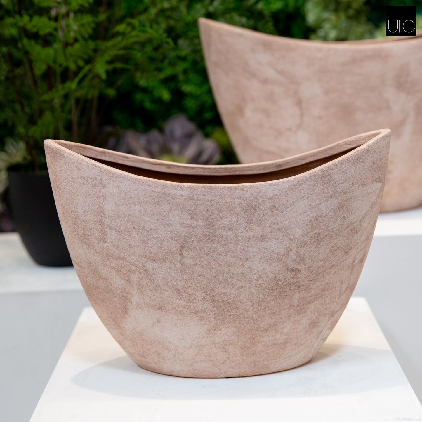 Ravylora Lotus Root Planter