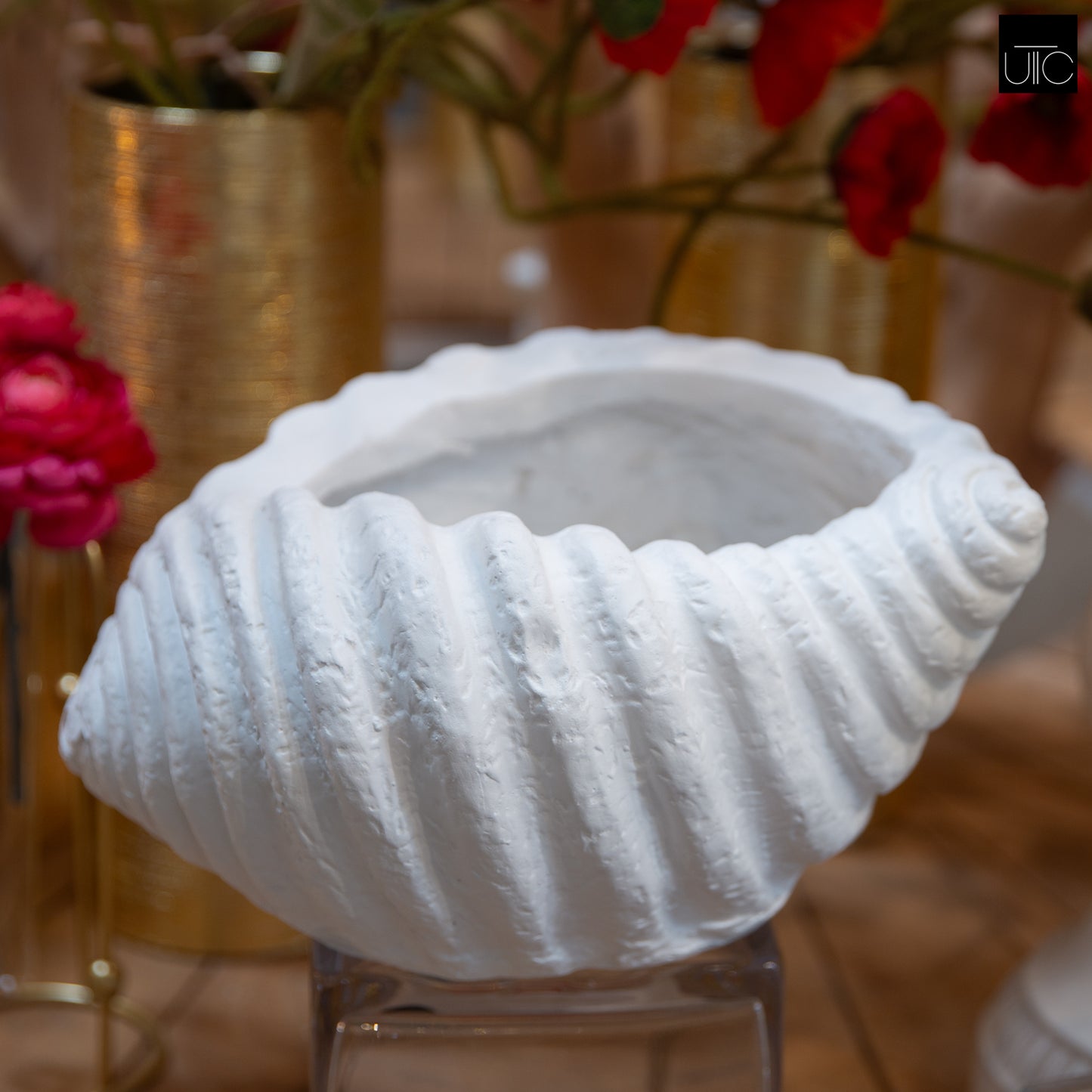 Avenno Conch Decorative Accent