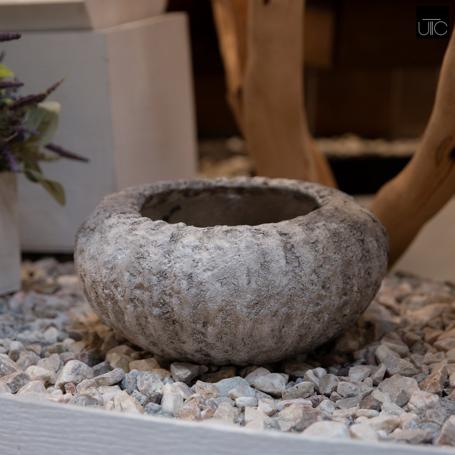Rhastin Fiberglass Bowl Planter
