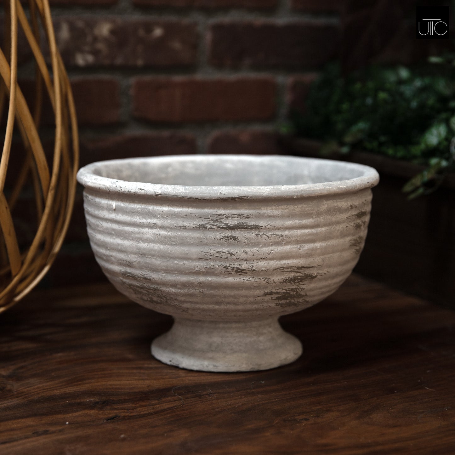 Iris Cement Urn Planter