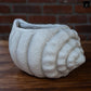 Mira Fiberglass Conch Planter