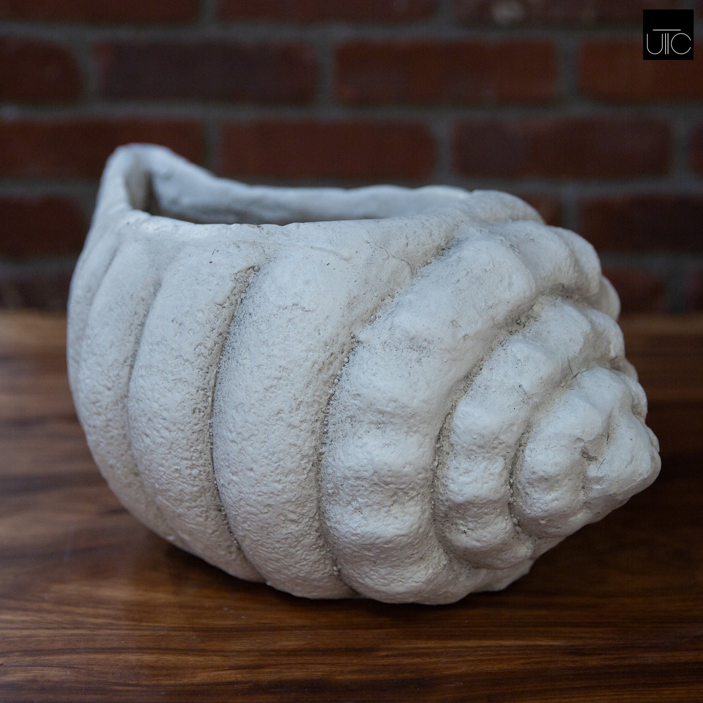 Mira Fiberglass Conch Planter