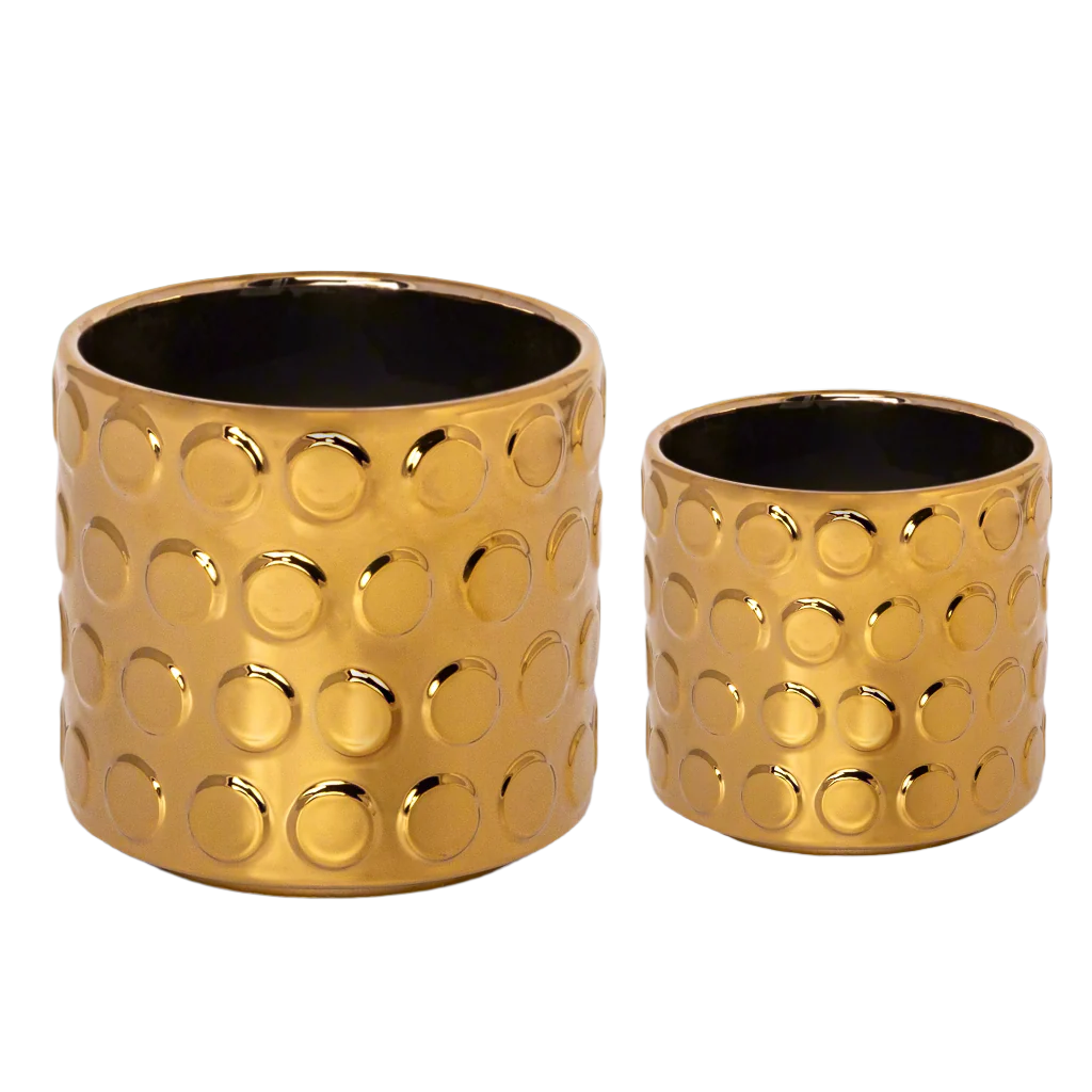 Quinn Bubble Pattern Ceramic Planter Set