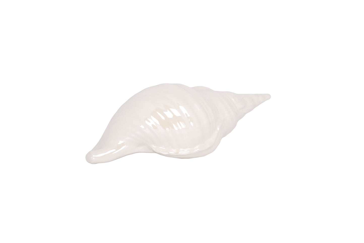 Nerala White Ceramic Conch Decor