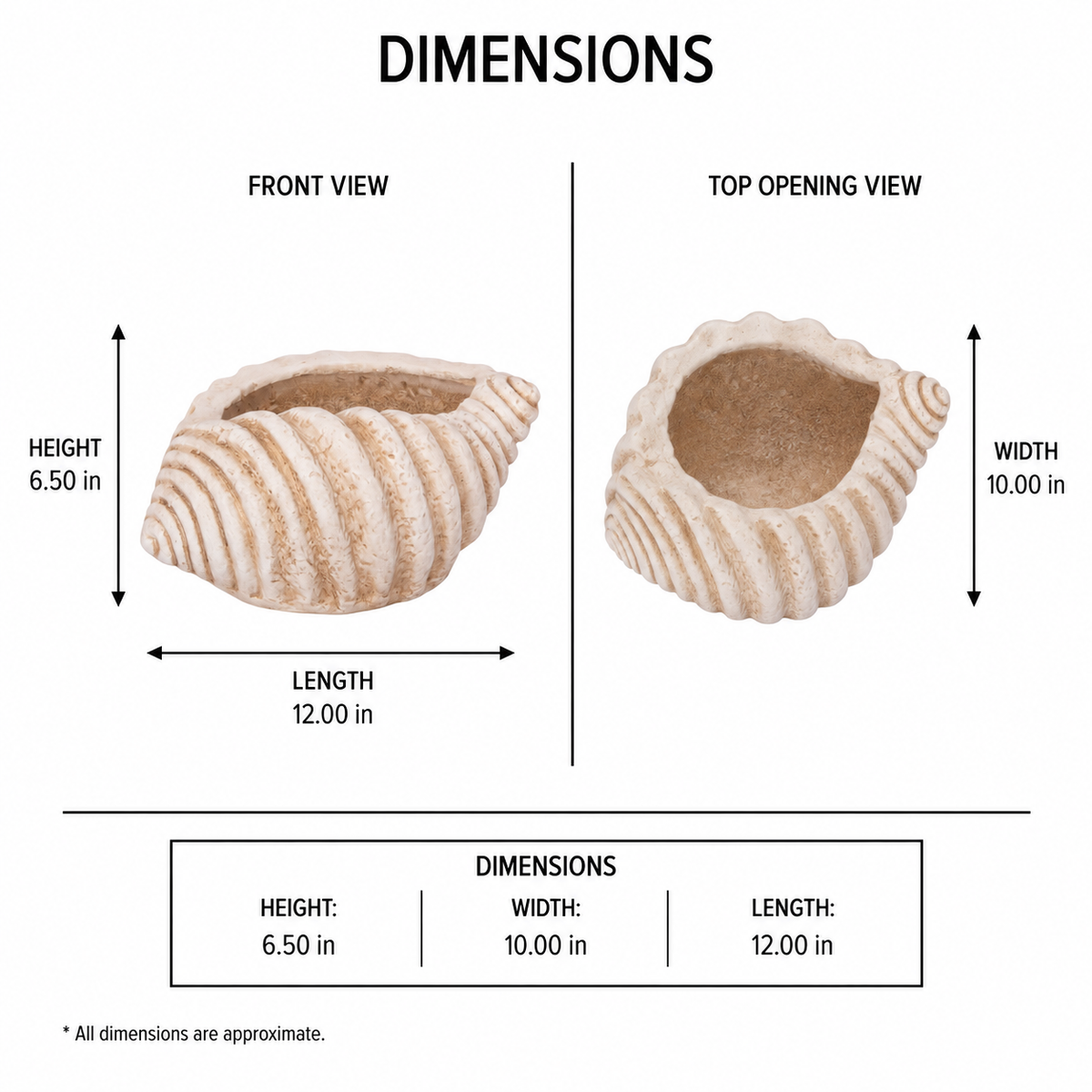 A dimension diagram showing a shell-shaped planter from front and top opening views, with measurements labeled as height 6.50 in, width 10.