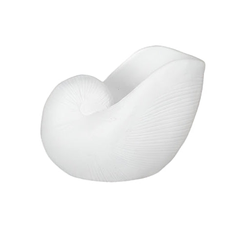 Calenna Seashell Decorative Piece