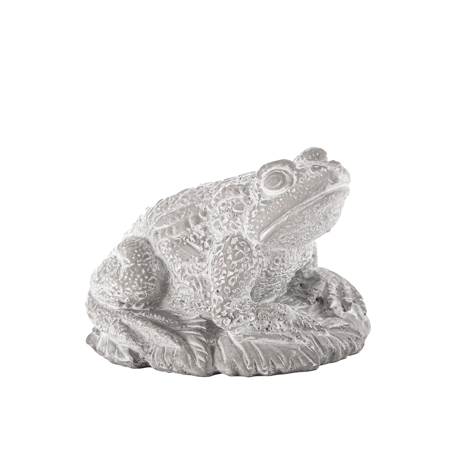 Decorative frog sculpture on a white background