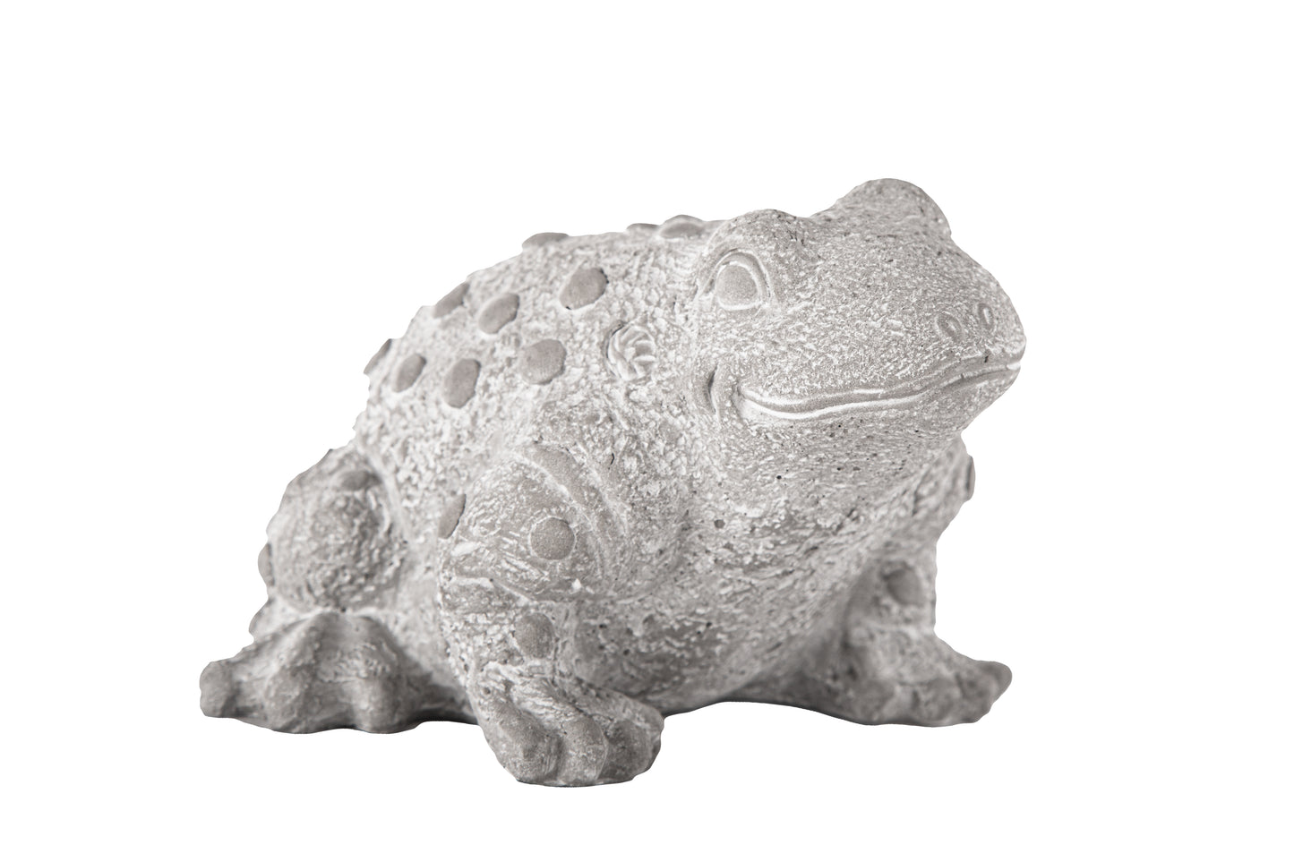 Cement Eastern Rainfrog Figurine Washed Concrete Finish Gray-4.25"H