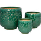 Aven Blossom Ceramic Planter Set (Set of 3)