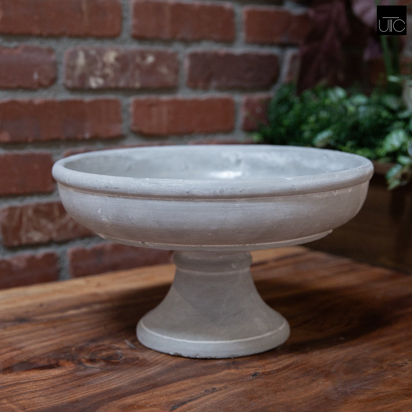 Cement Compote Bowl On Stand Large  Concrete Finish Gray