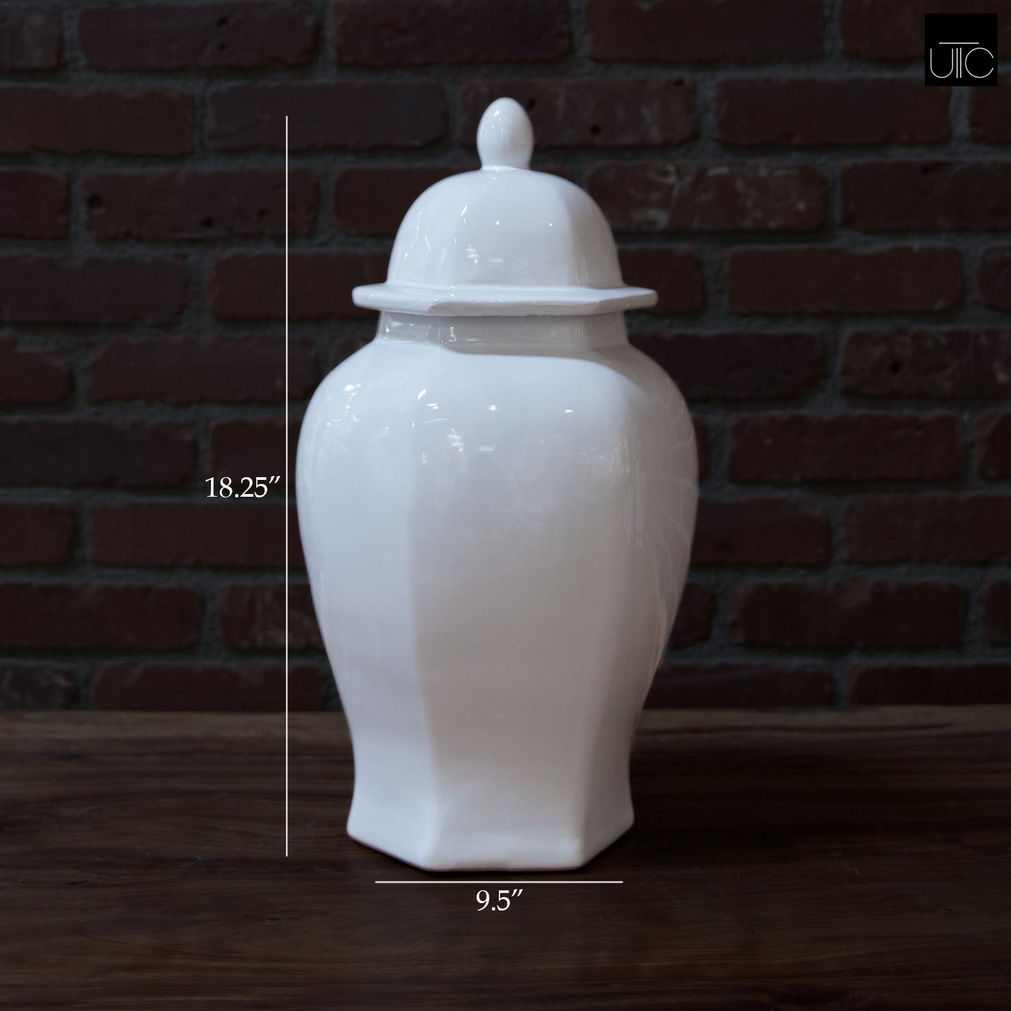 Biann Ceramic Chinoiserie Ginger Jar