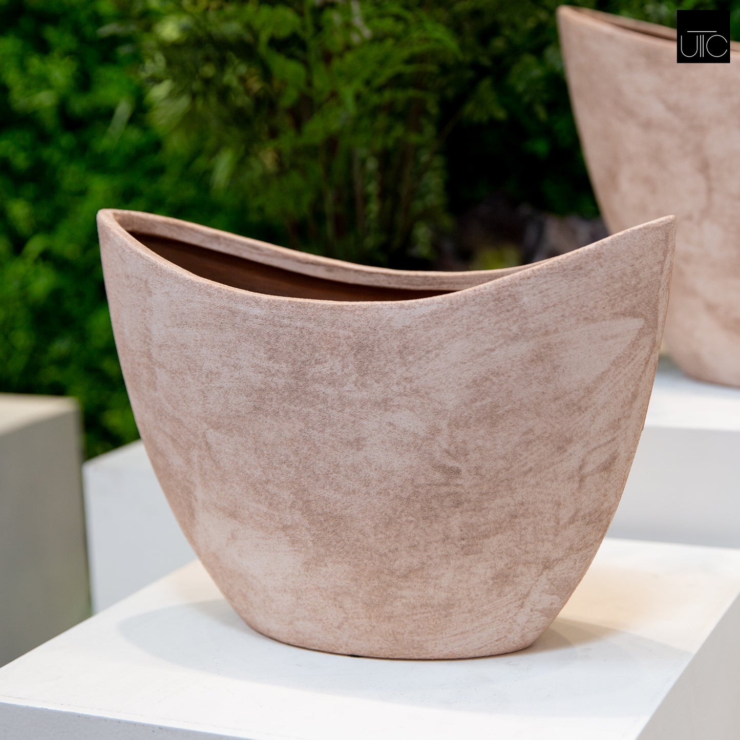 Ravylora Lotus Root Planter