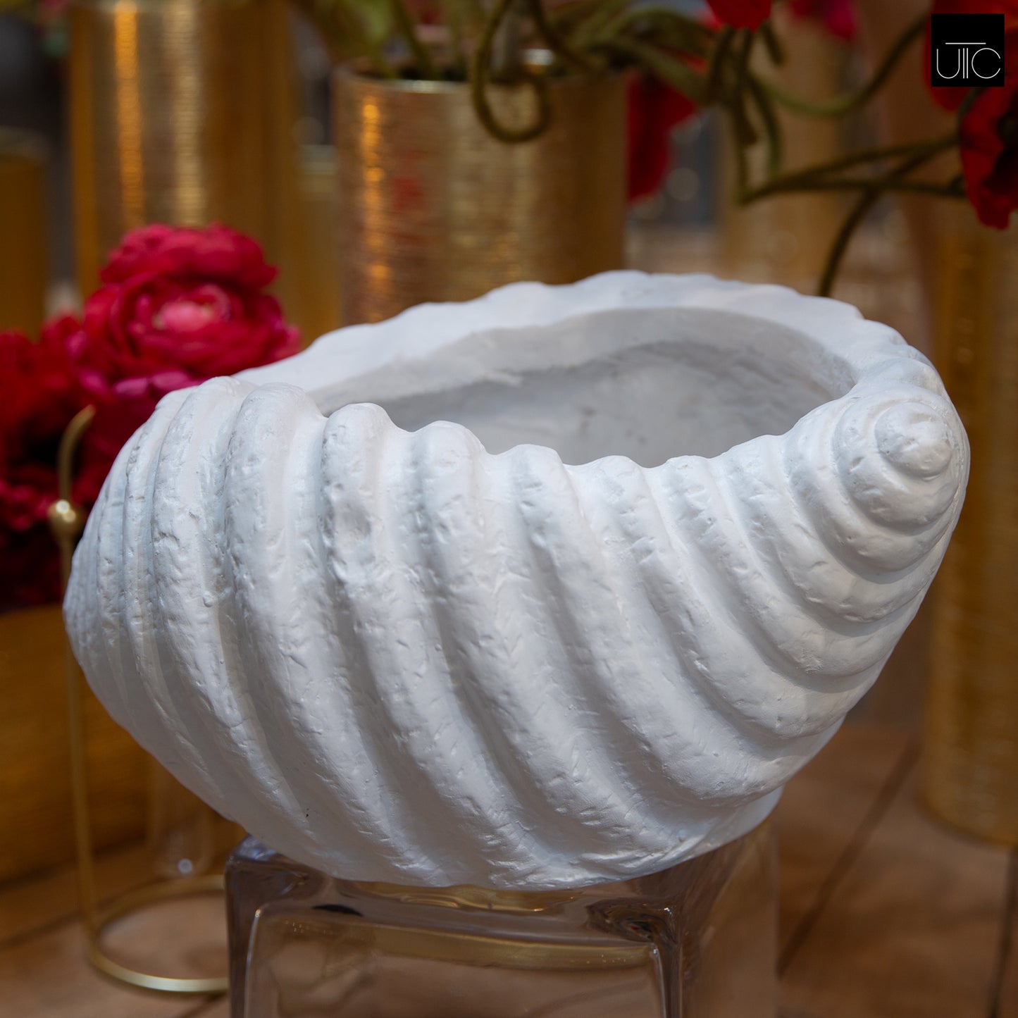 Avenno Conch Decorative Accent