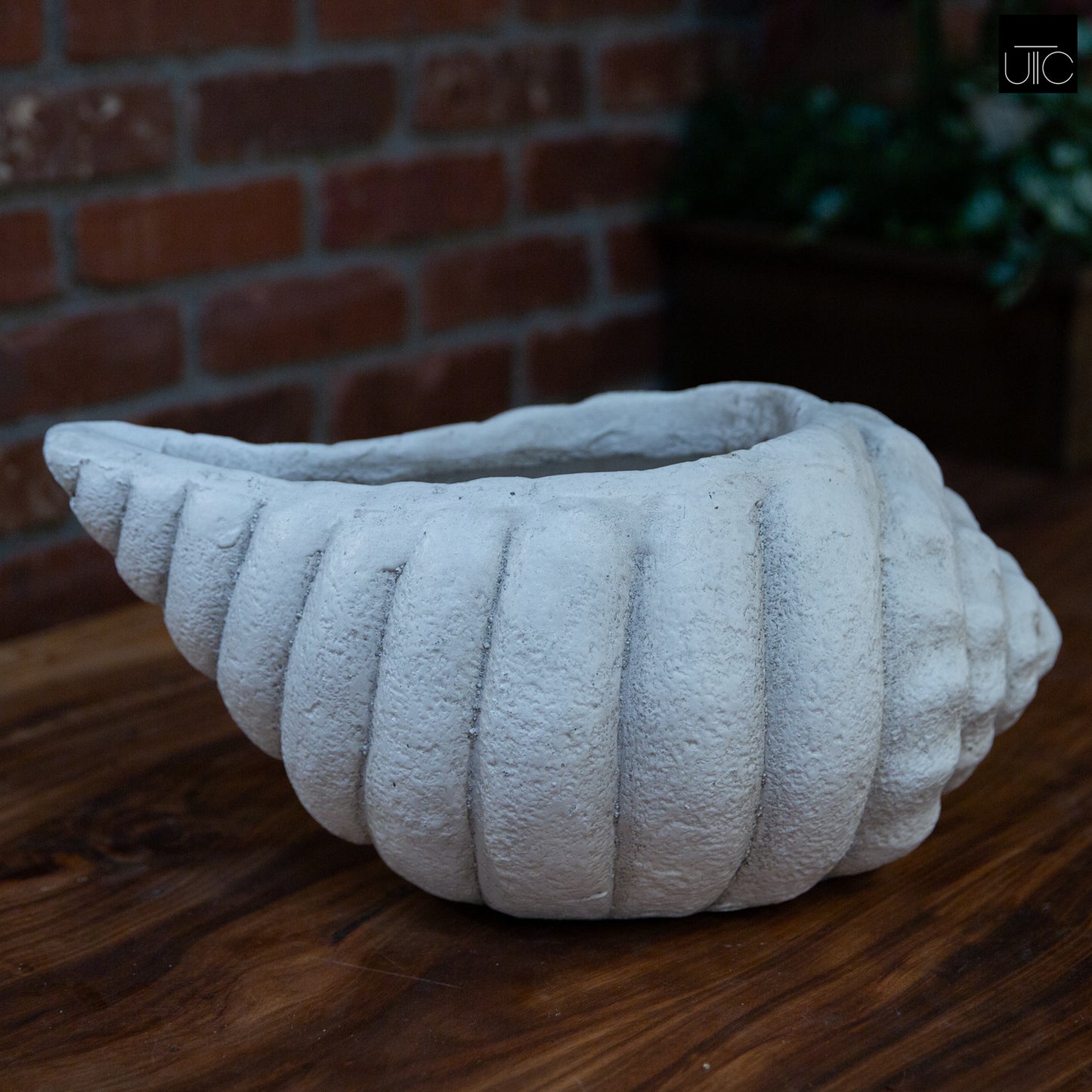 Mira Fiberglass Conch Planter