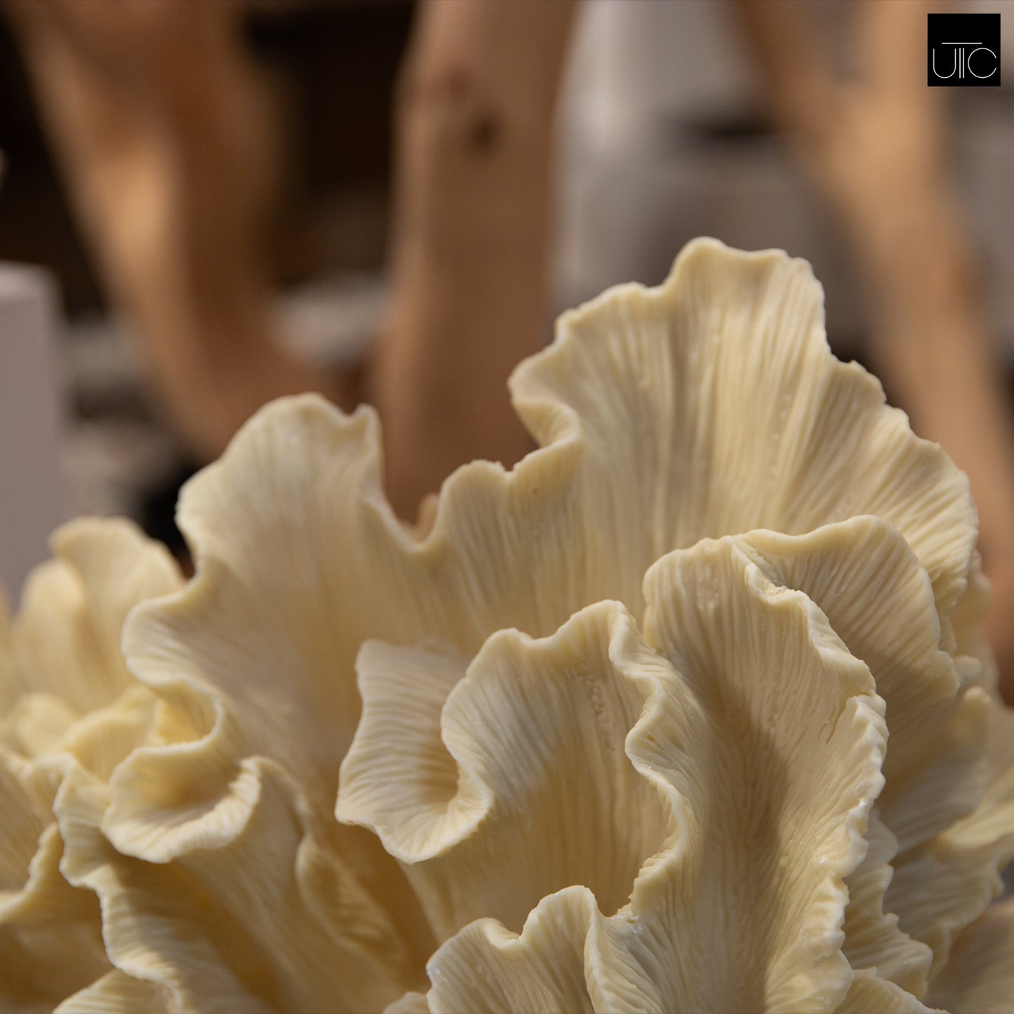 Norelle Resin Coral Decor