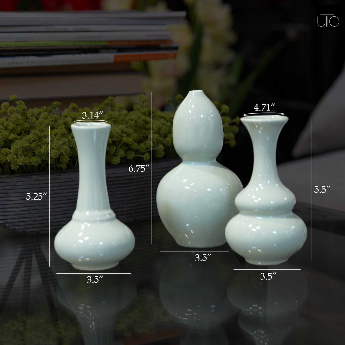 Norren Trumpet Mouth Ceramic Vases (Set of 3)