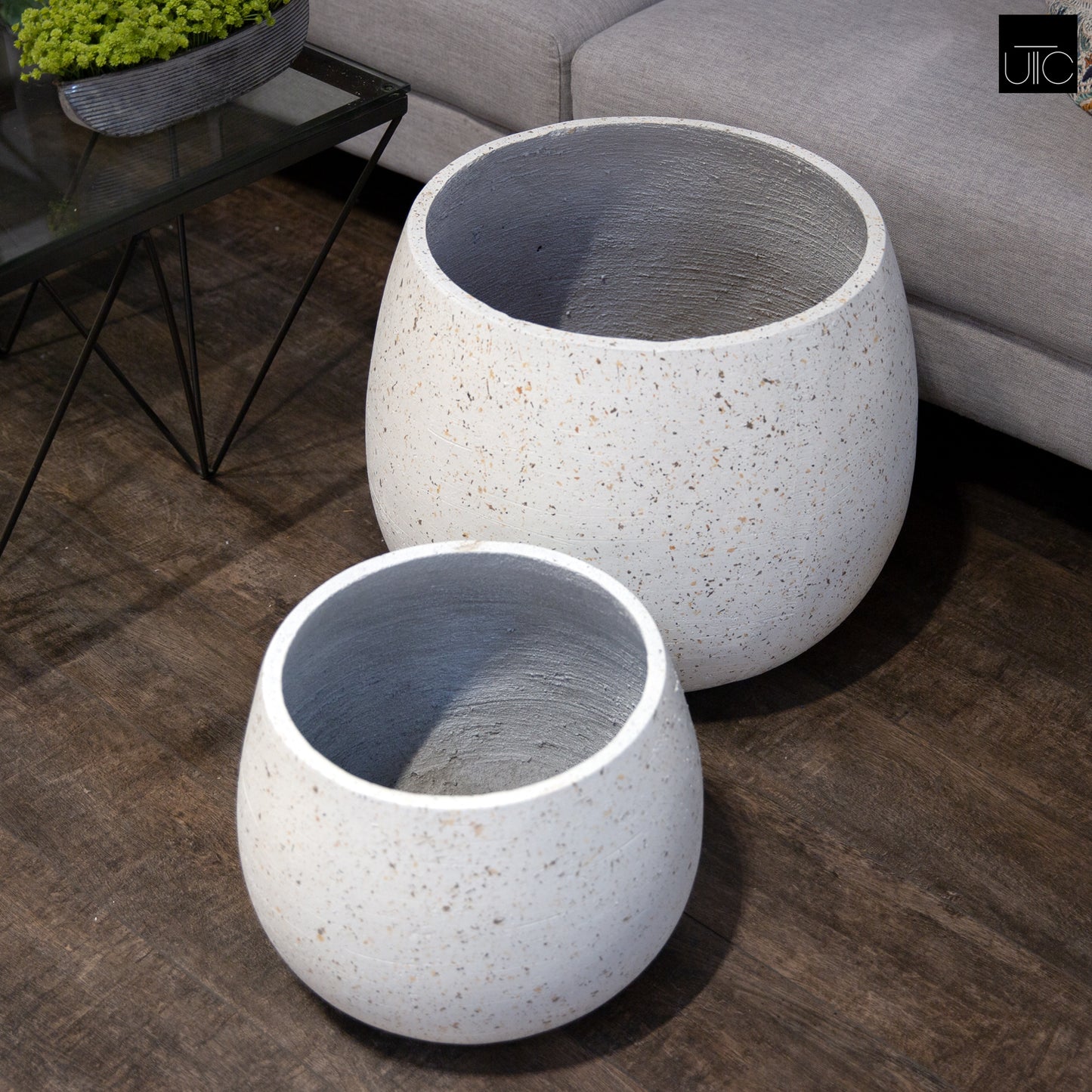 Elarien Cement Flower Pot (Set of 2)