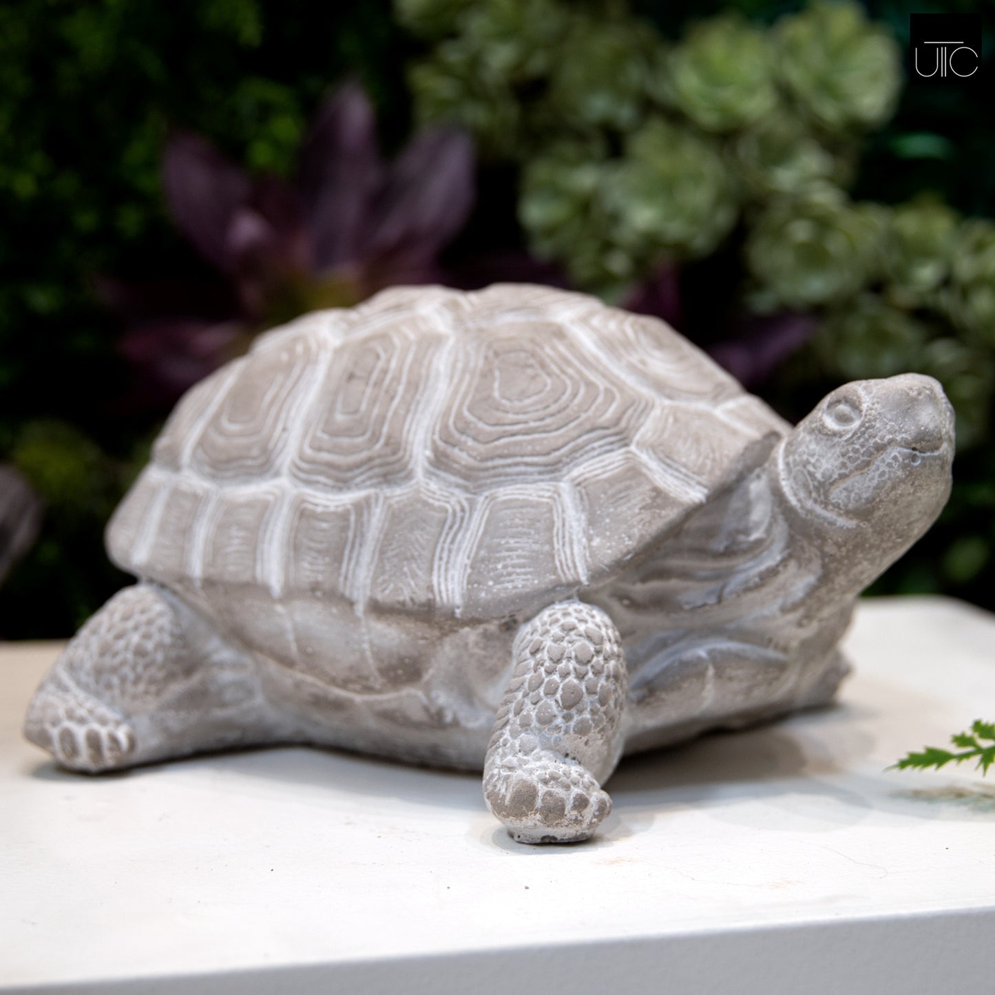 Tobin Standing Turtle Cement Figurine