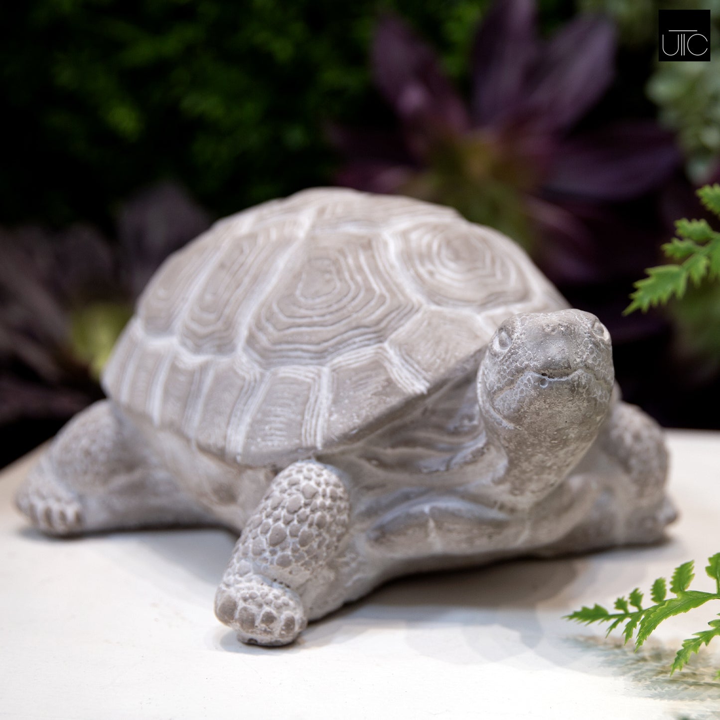 Tobin Standing Turtle Cement Figurine