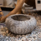 Rhastin Fiberglass Bowl Planter