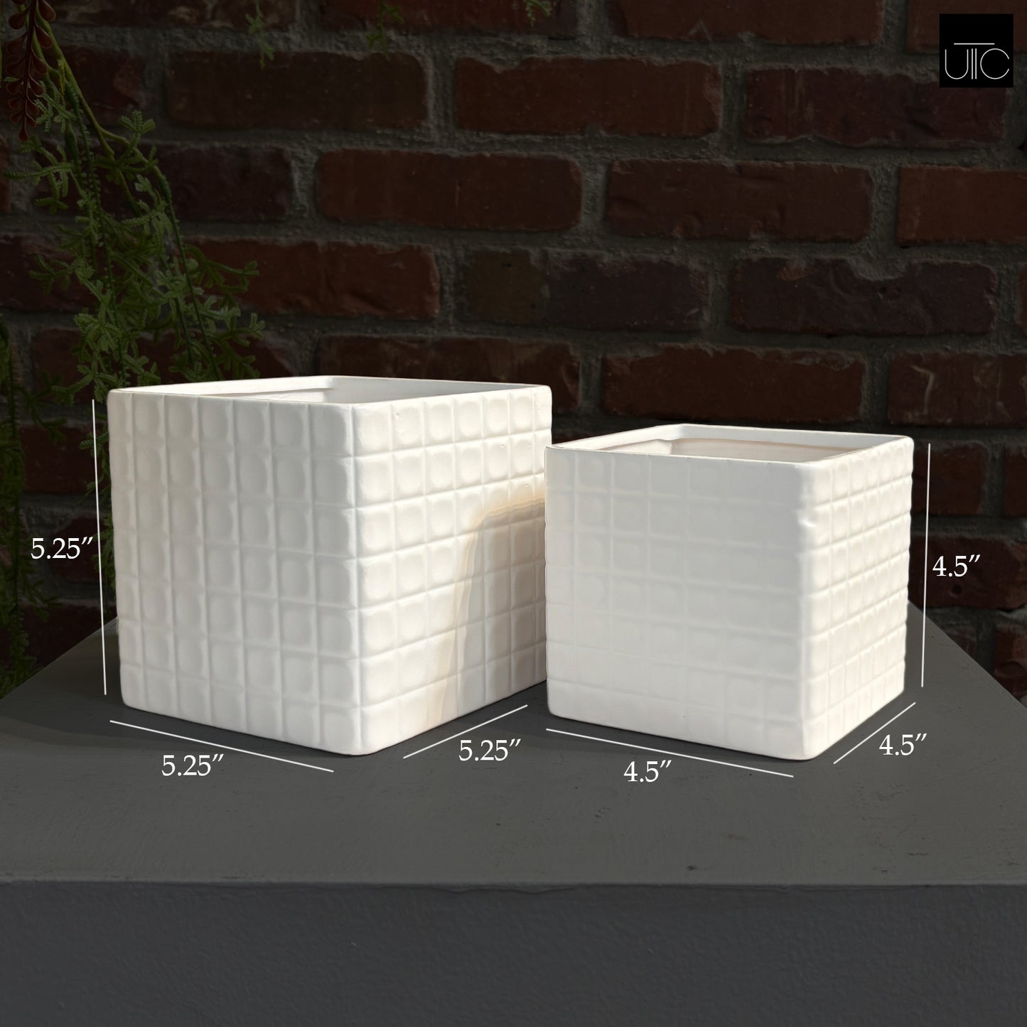 Ceramic Pot Matte Finish White-5.25"H -81