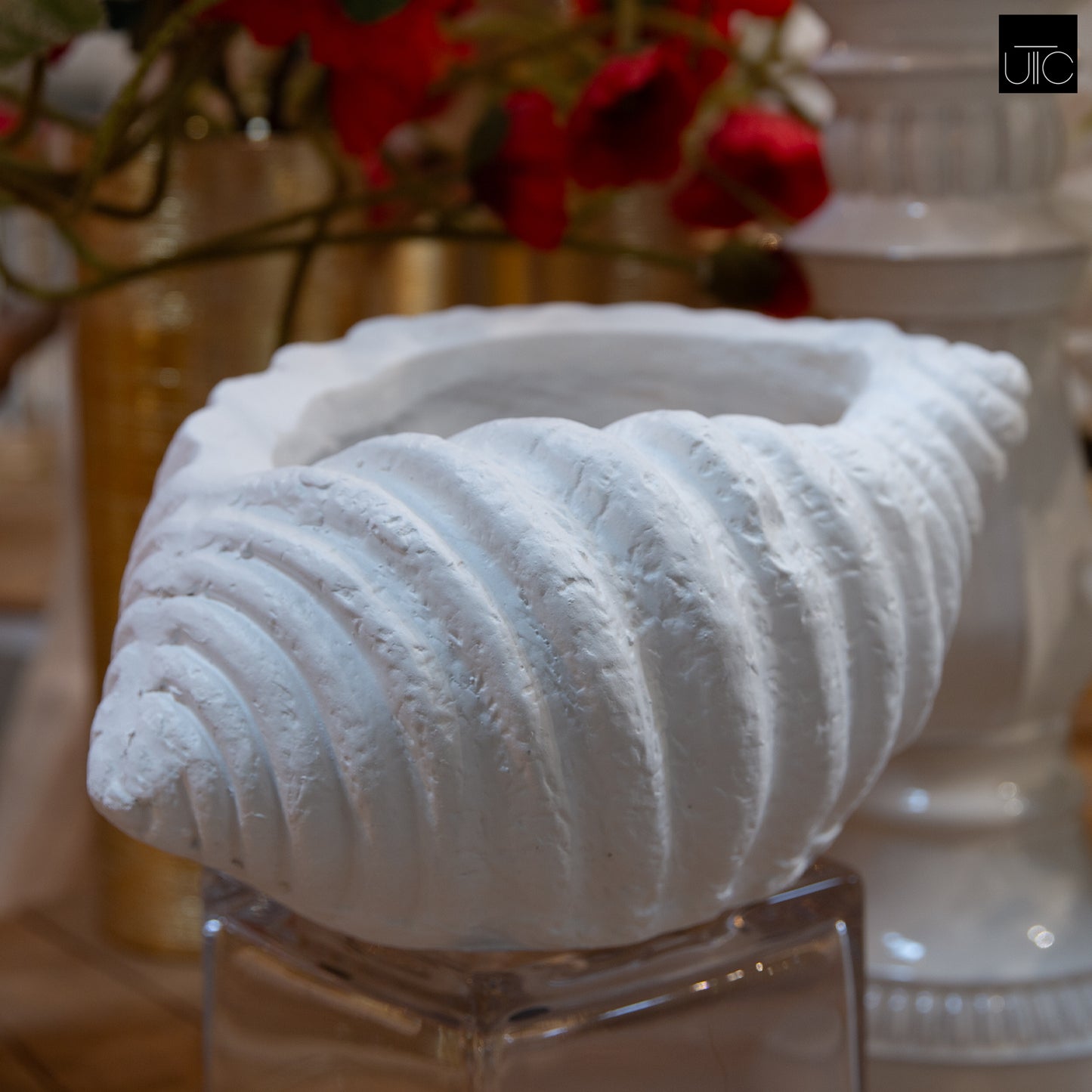 Avenno Conch Decorative Accent