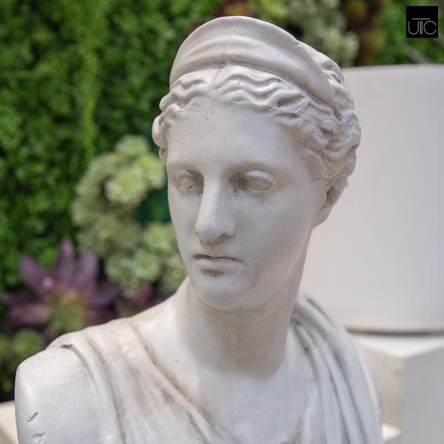 Venus Fiberglass Bust Sculpture