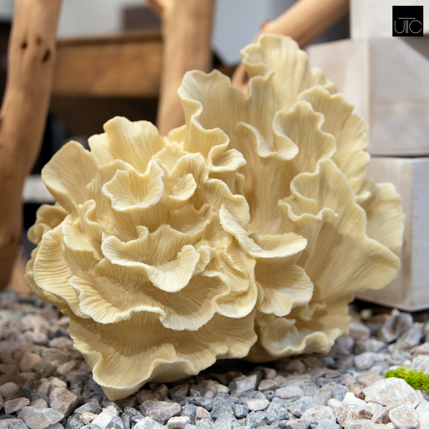 Norelle Resin Coral Decor