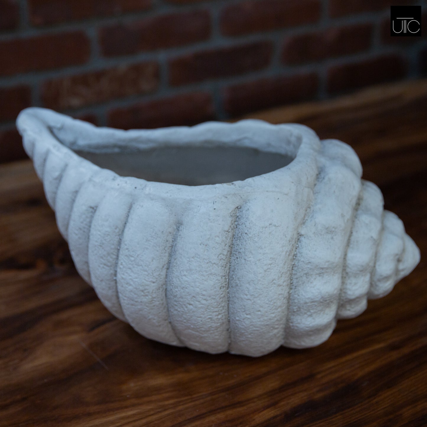 Mira Fiberglass Conch Planter