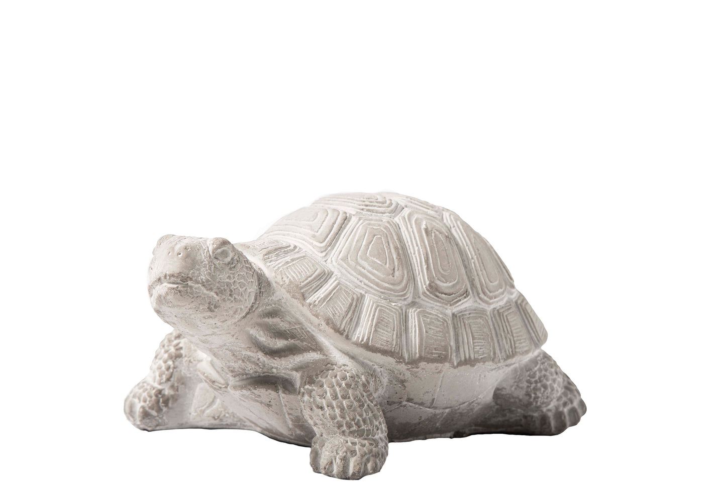 Cement Standing Turtle Figurine Washed Concrete Finish Gray-5.00"H