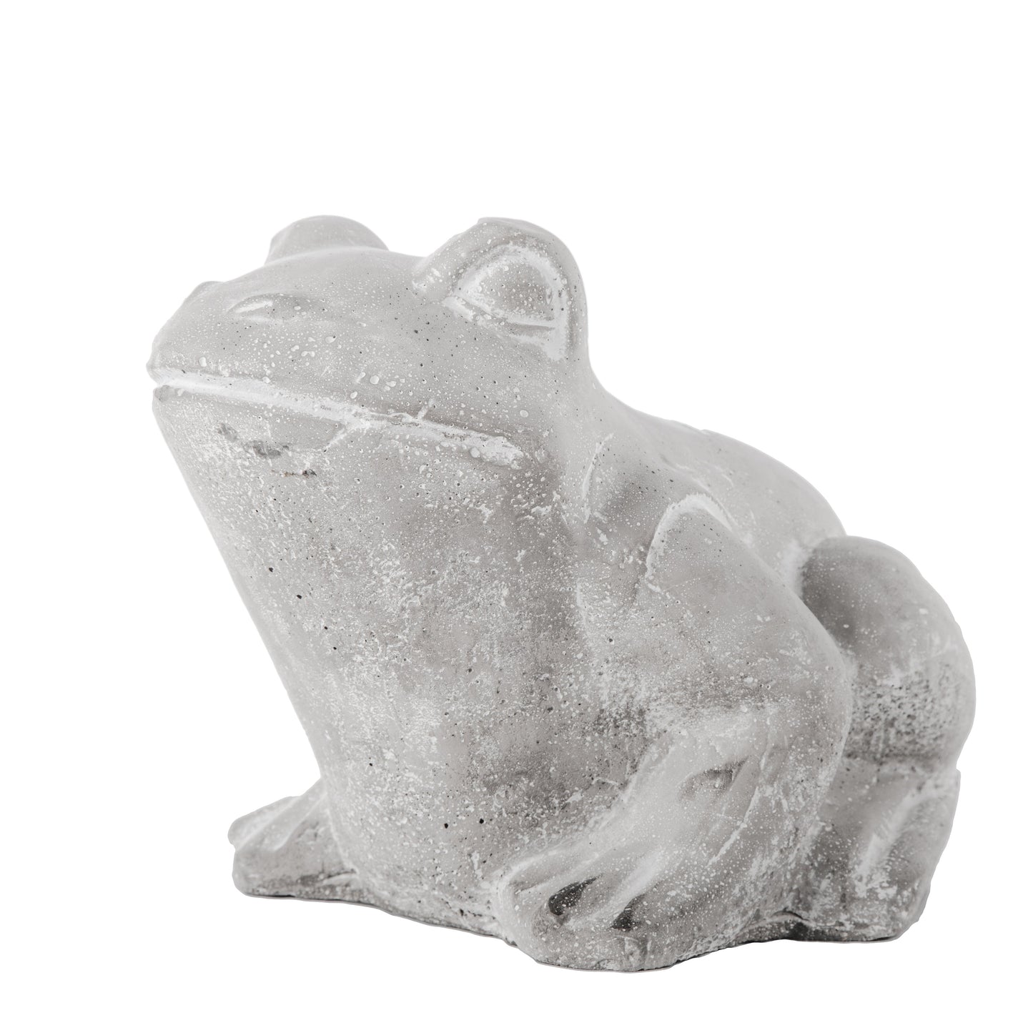 Quorin Cement Rainfrog Figurine