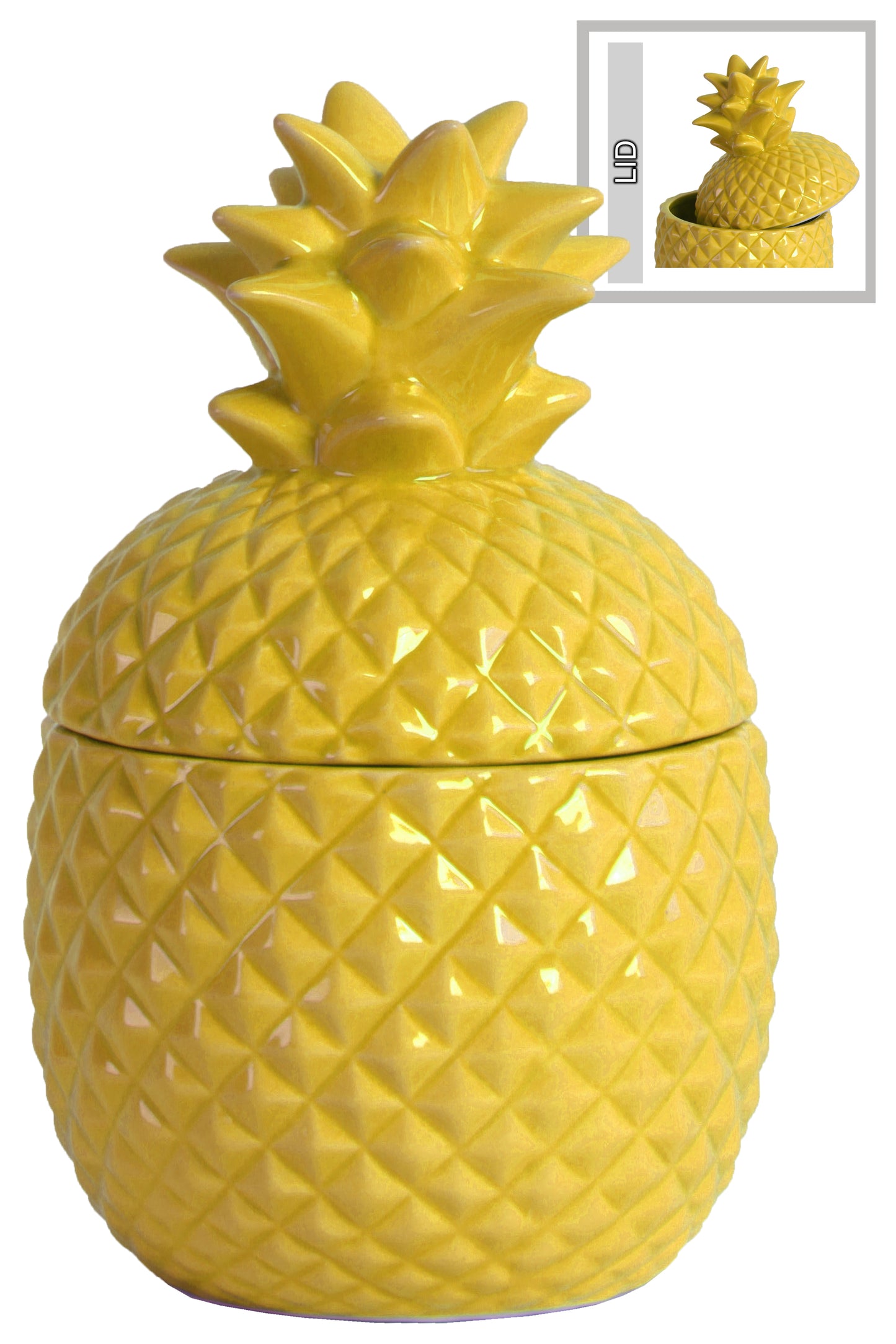 Ceramic Canister Gloss Finish 7.25"H