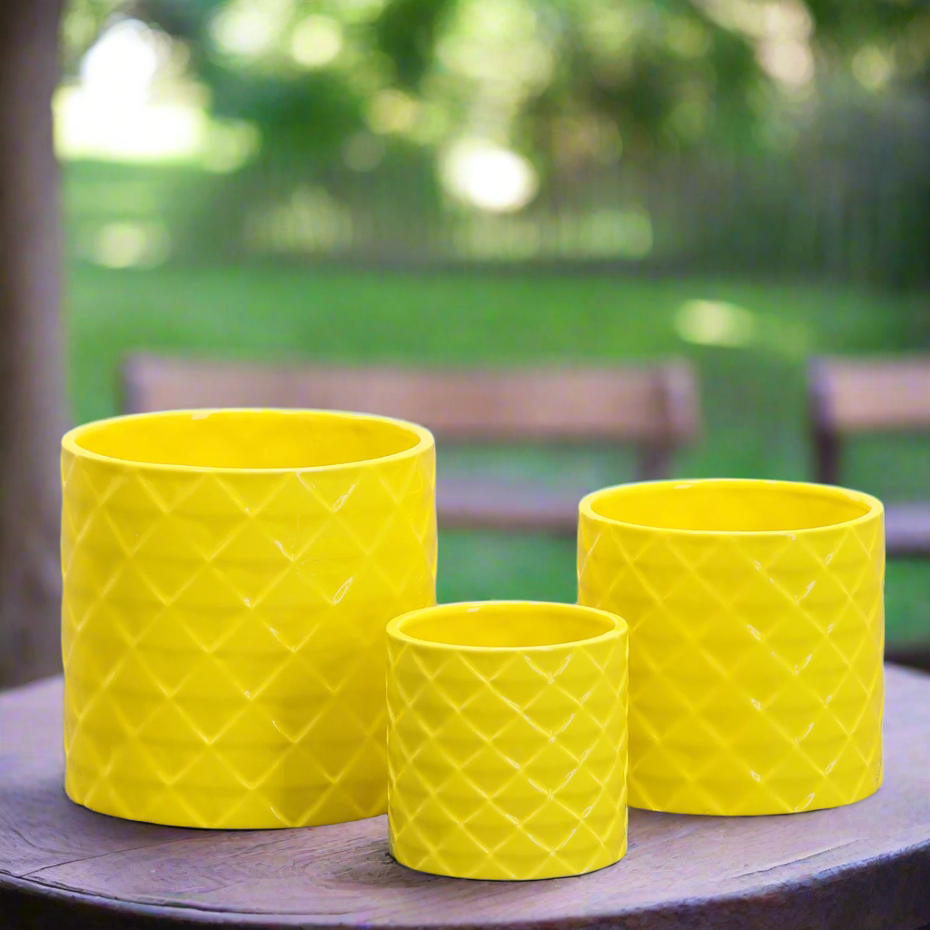 Diamora Ceramic Round Pot (Set of 3)