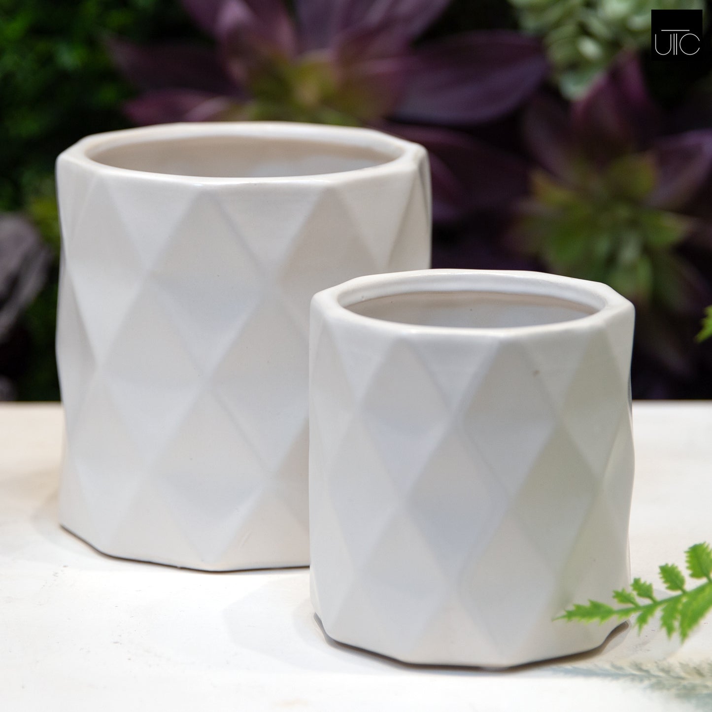 Ceramic Pot Matte Finish