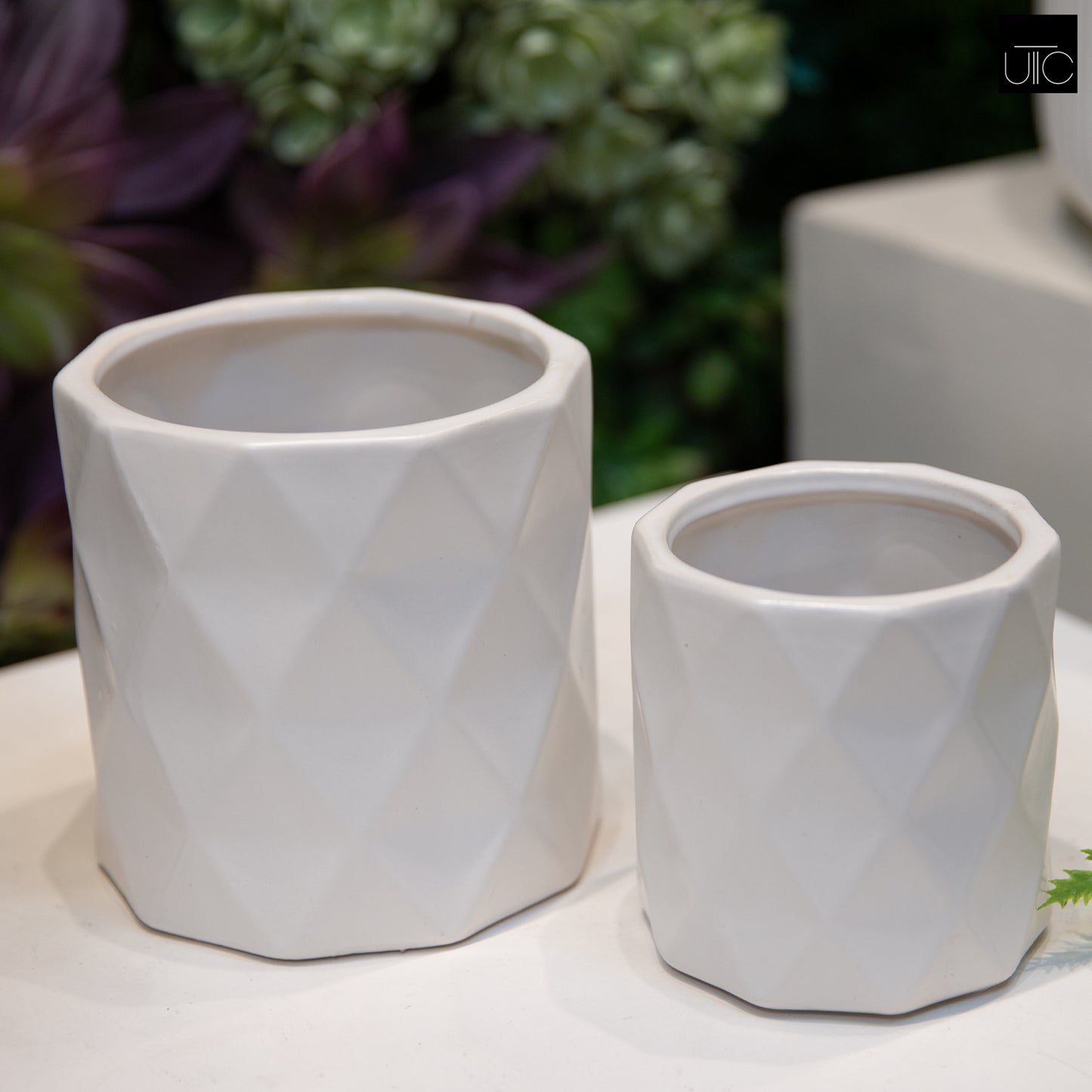 Ceramic Pot Matte Finish