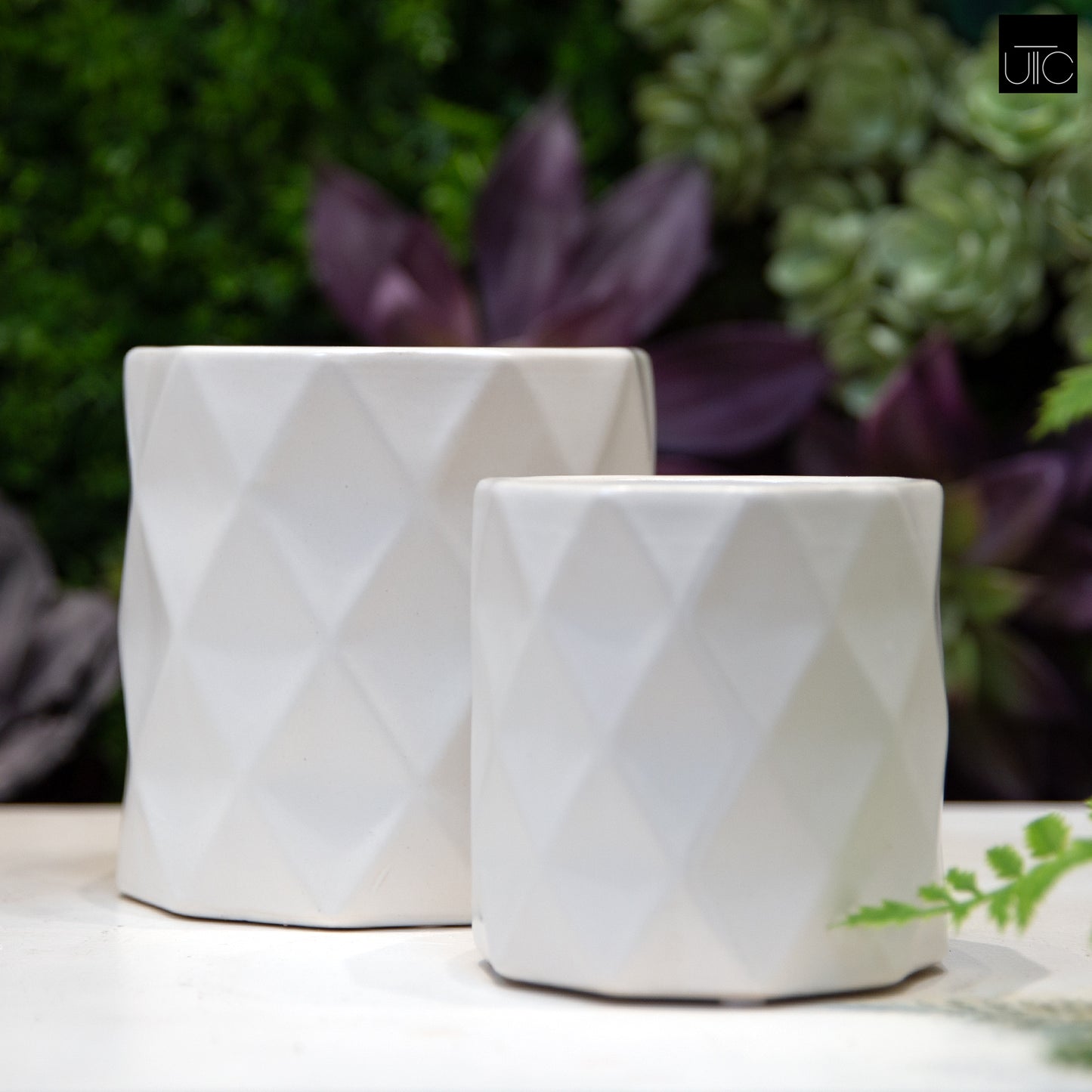 Ceramic Pot Matte Finish