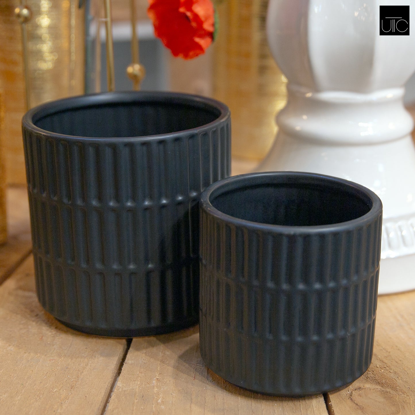 Ceramic Pot Matte Finish-5.5"H