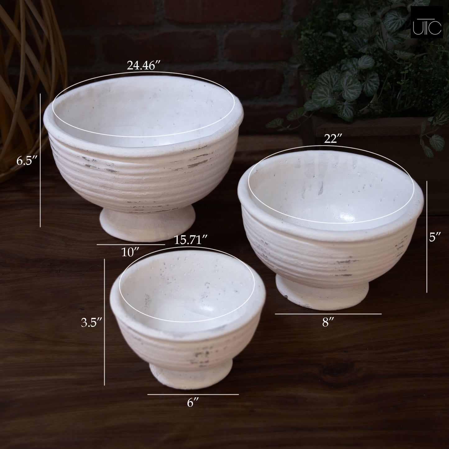 Iris Cement Urn Planter