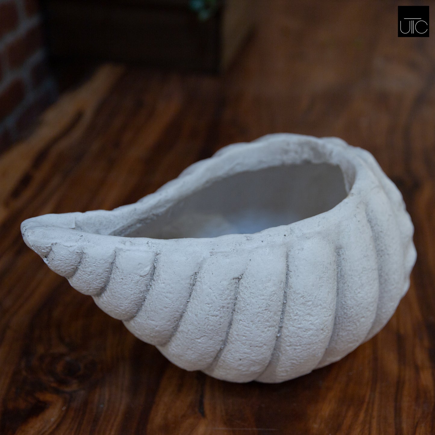 Mira Fiberglass Conch Planter