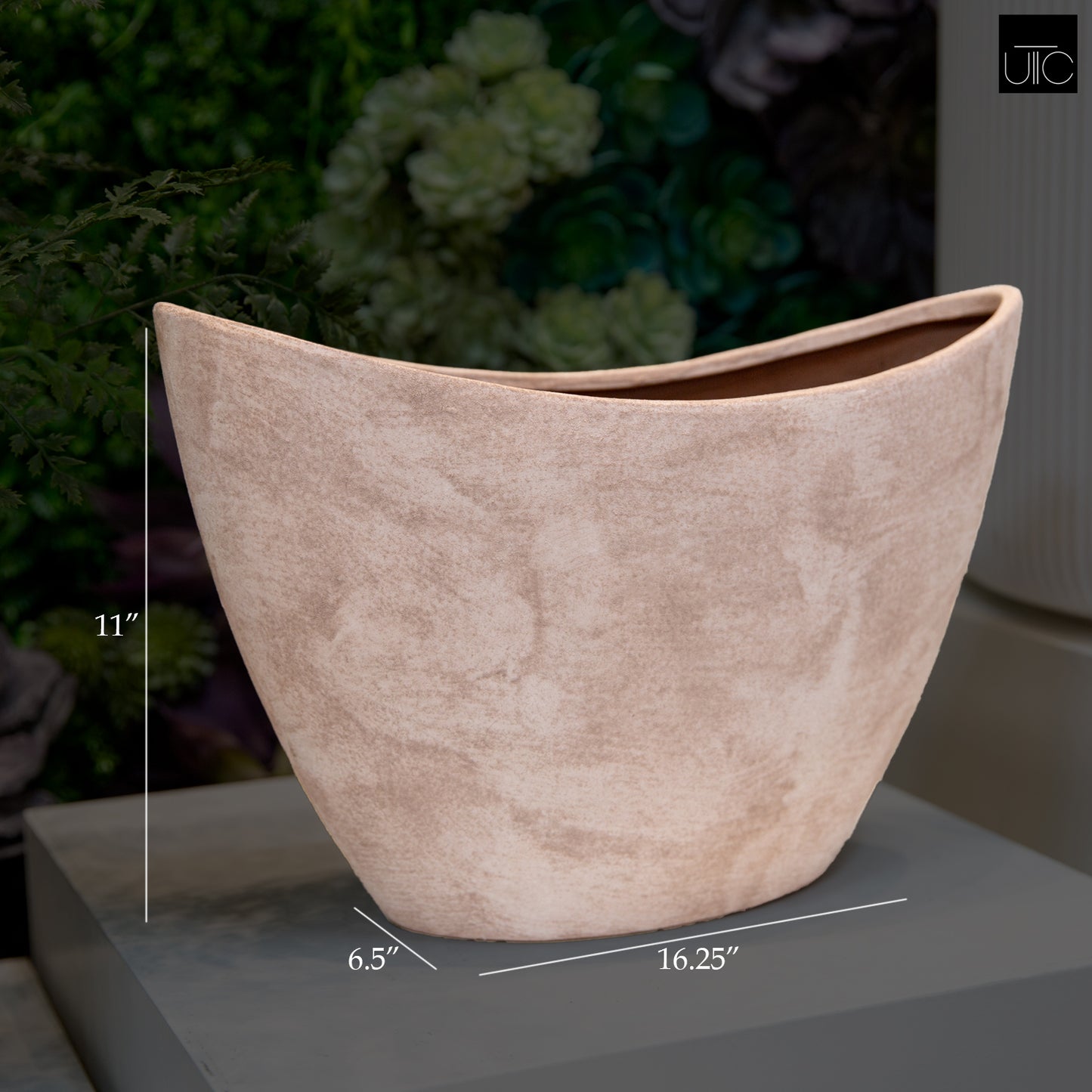 Ravylora Lotus Root Planter
