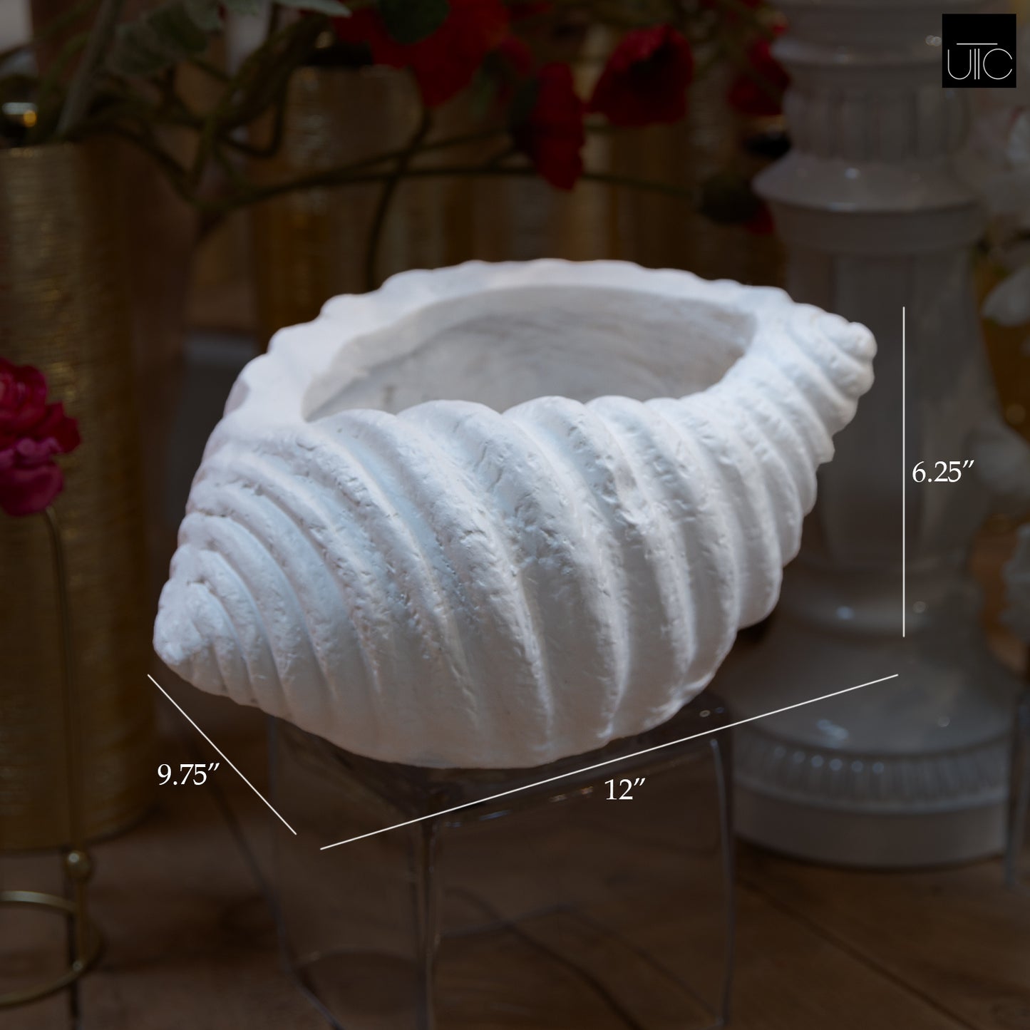 Avenno Conch Decorative Accent