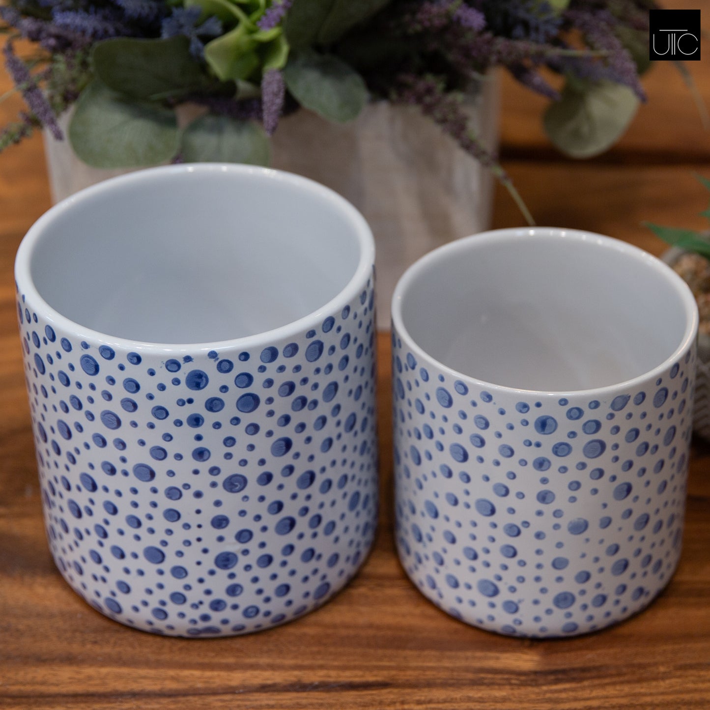 Ceramic Pot Planters Gloss Finish White-5.75"H -91