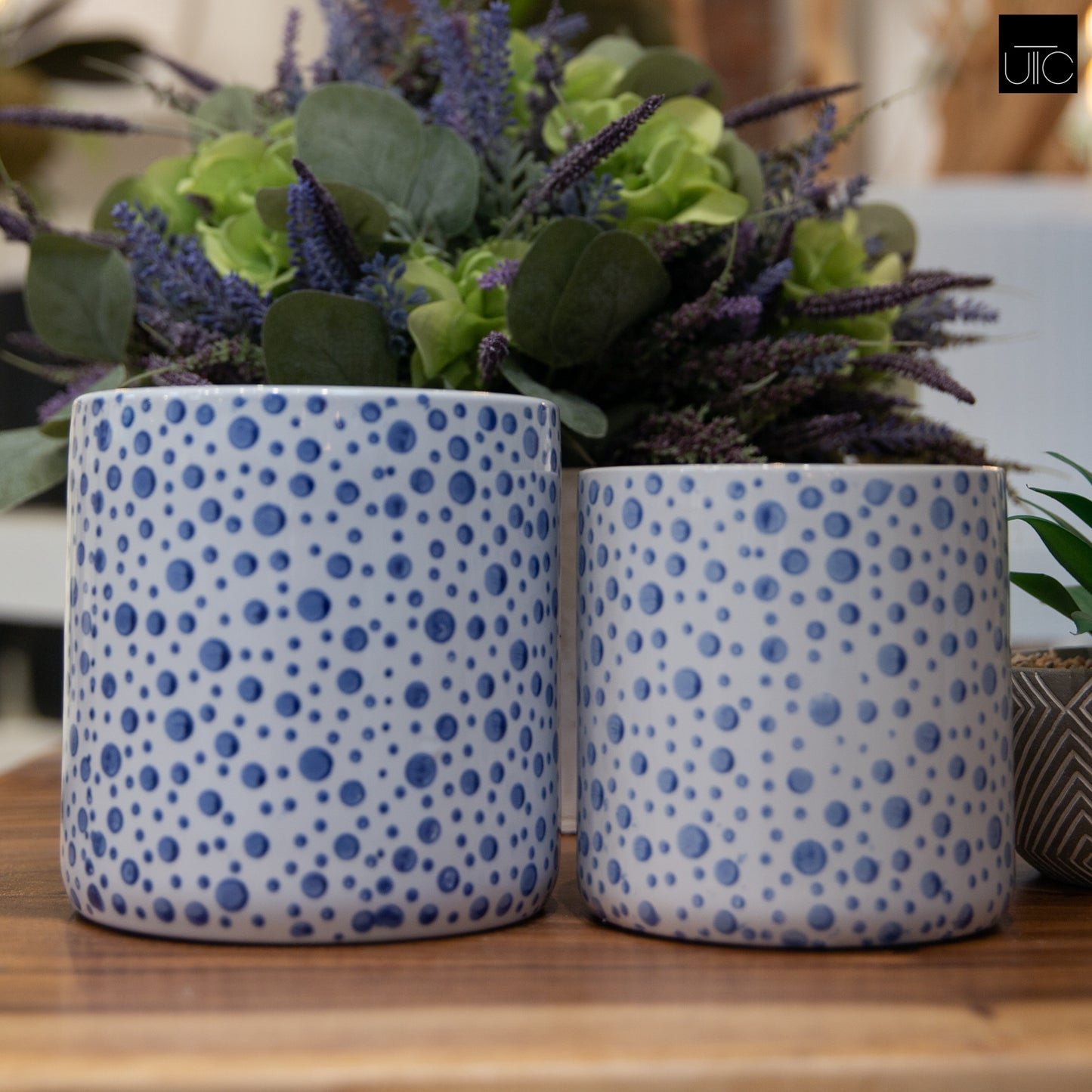 Ceramic Pot Planters Gloss Finish White-5.75"H -91