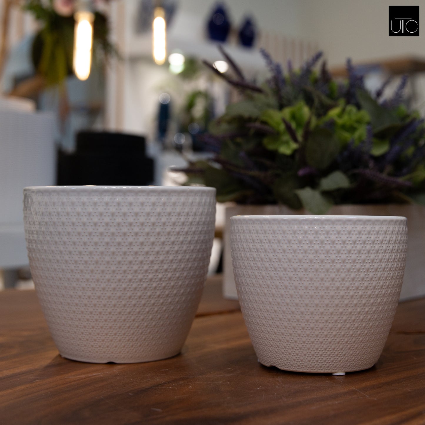 Ceramic Pot Gloss Finish White-5.25"H -78