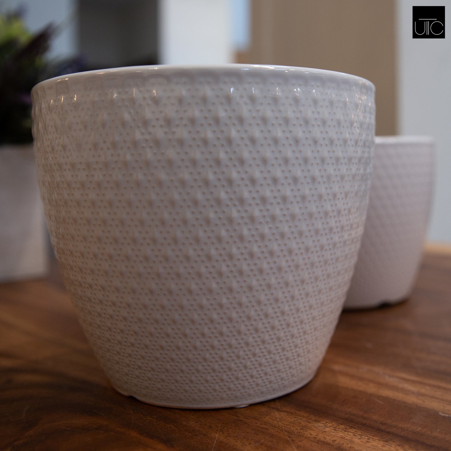 Ceramic Pot Gloss Finish White-5.25"H -78